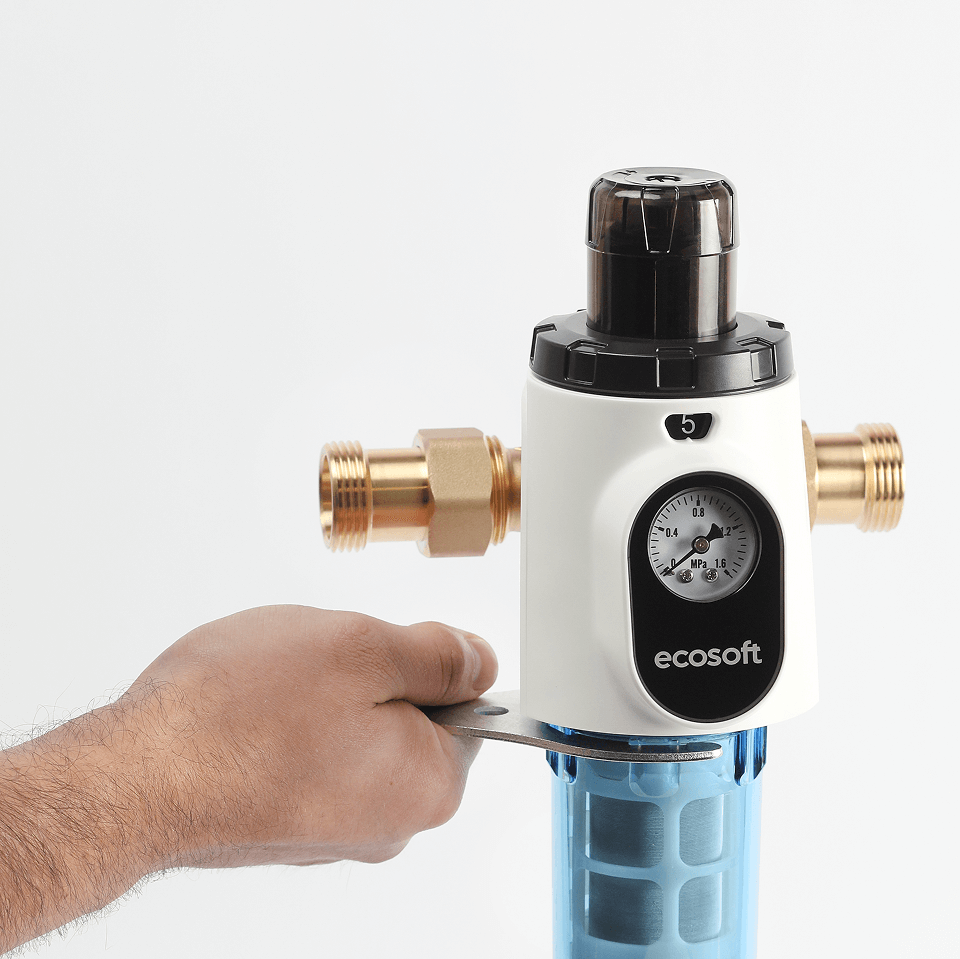 Ecosoft Eric SC flushable water filter Ecosoft Eric SC flushable water filter
