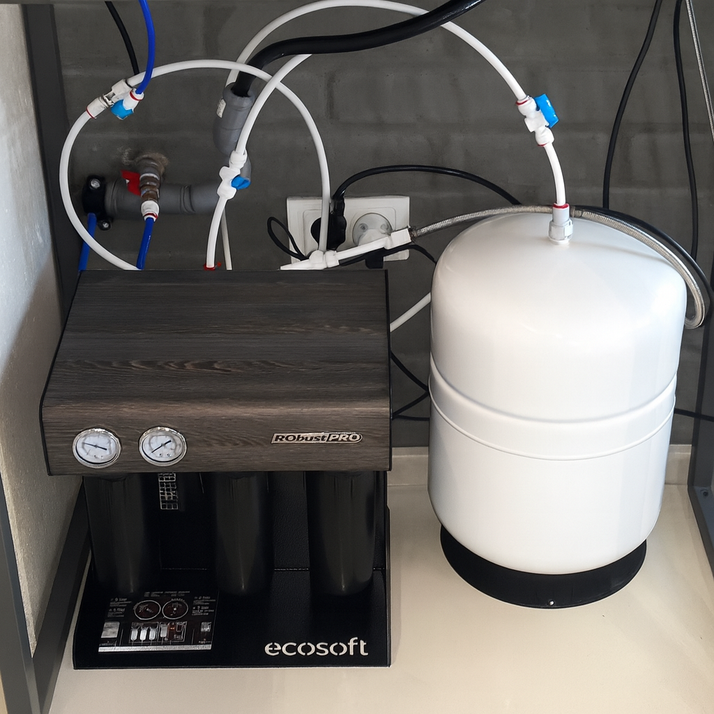 Water purification for a restaurant in Kyiv