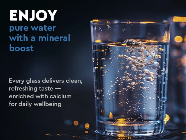 Ecosoft mineralizing postfilter for RO filter