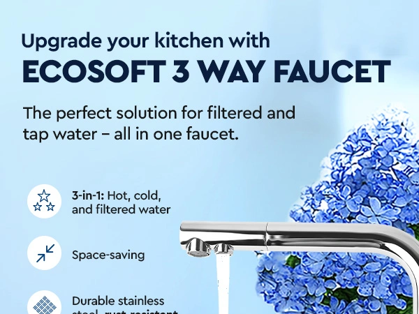 3 way tap kitchen drinking faucet