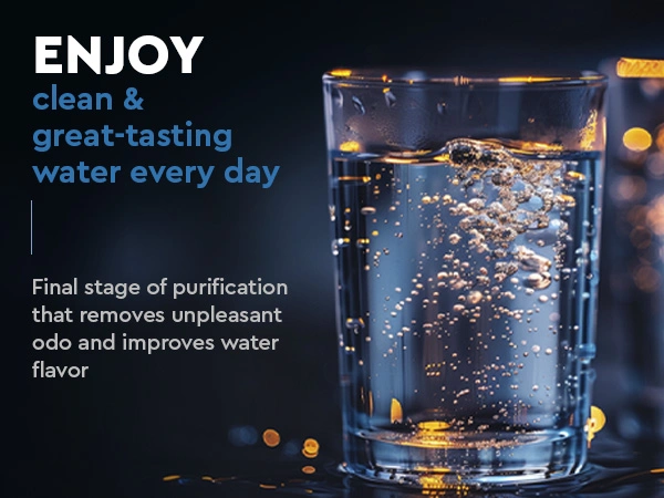 Ecosoft carbon postfilter for RO filter