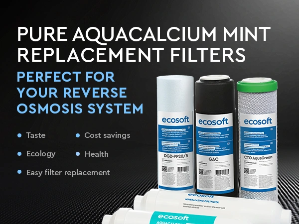 PURE AquaCalcium set of 6 replacement filters