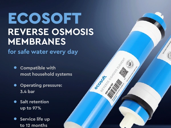 Ecosoft 100 GPD membrane element