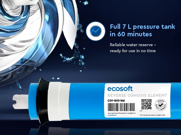 Ecosoft 100 GPD membrane element