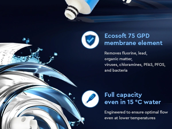 Ecosoft 75 GPD membrane element