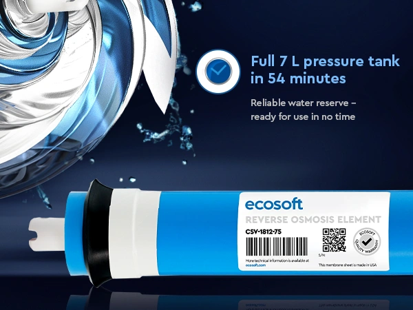 Ecosoft 75 GPD membrane element