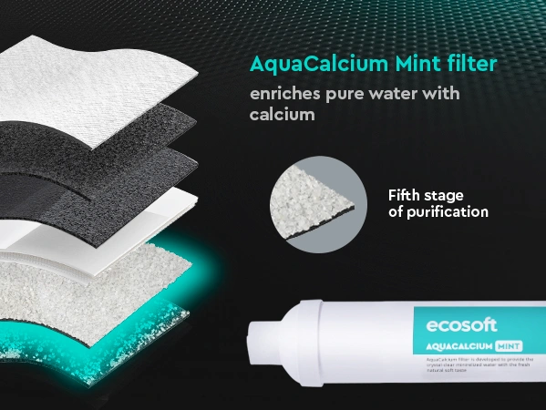 PURE AquaCalcium Mint reverse osmosis filter with pump