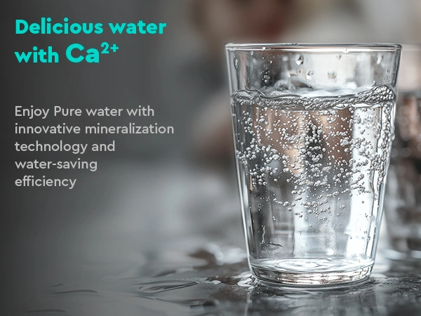 PURE AquaCalcium Mint reverse osmosis filter