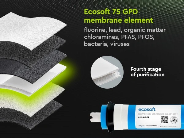 Ecosoft PURE Balance RO System