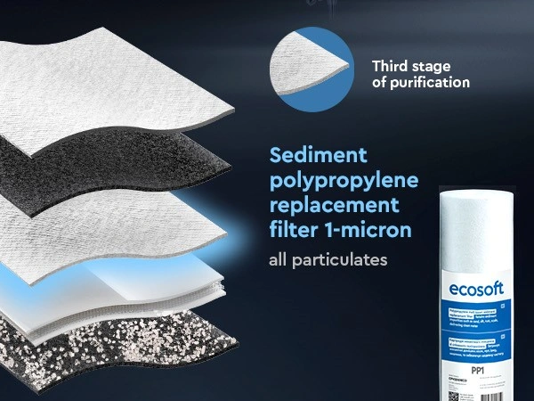 Ecosoft STANDARD PRO RO System with Pump