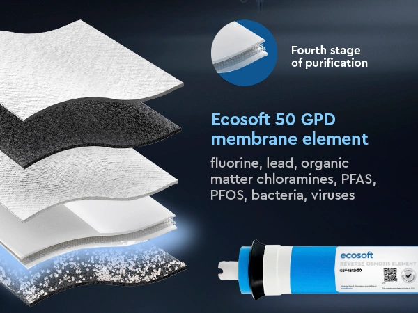 Ecosoft STANDARD PRO RO System with Pump