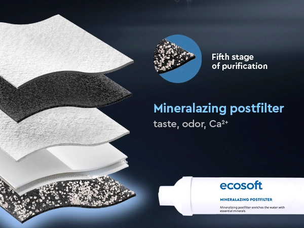 Ecosoft STANDARD PRO RO System with Pump