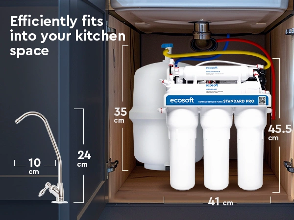 Ecosoft STANDARD PRO RO System with Pump