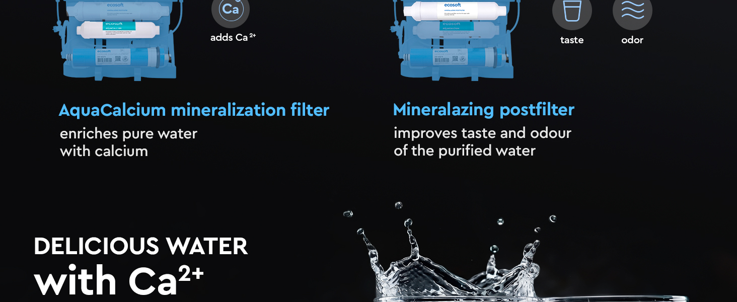 Ecosoft PURE AquaCalcium annual replacement filter set with membrane
