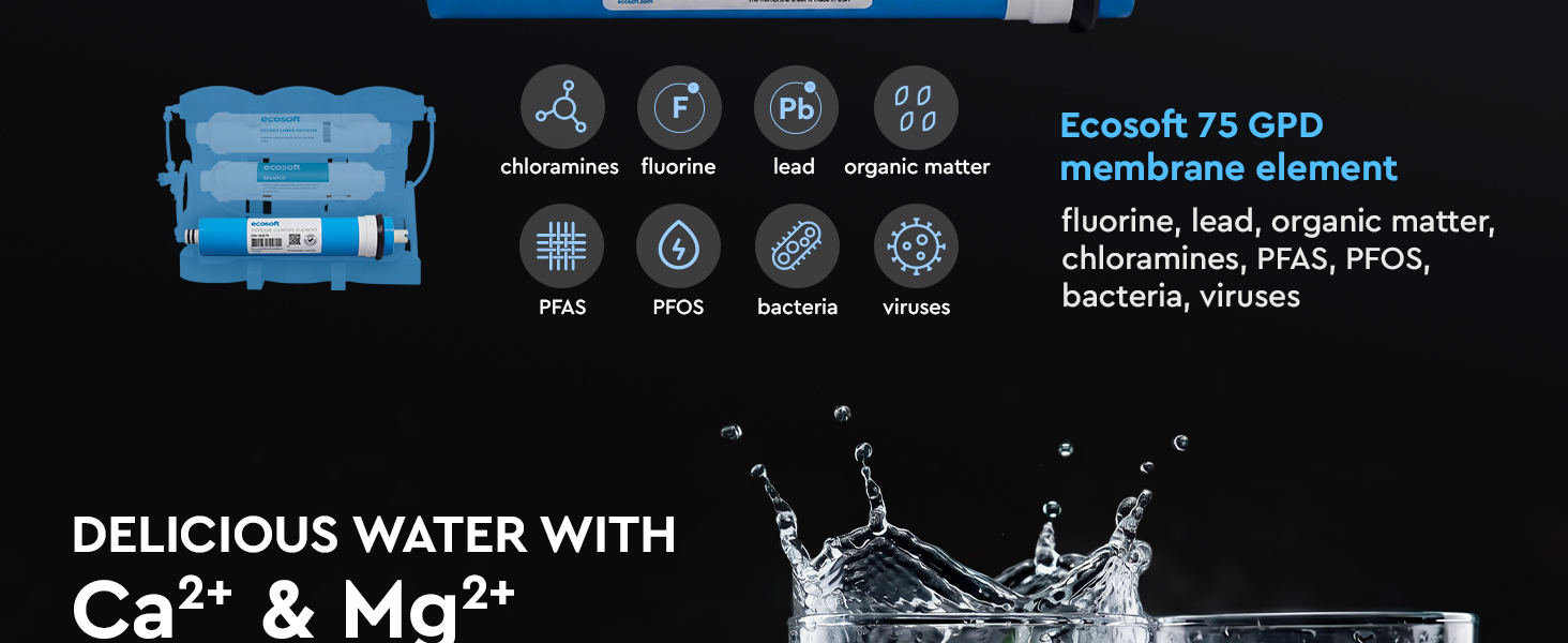 Ecosoft PURE Balance annual replacement filter set with membrane