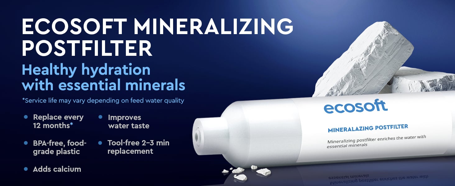 Ecosoft mineralizing postfilter for reverese osmosis filter