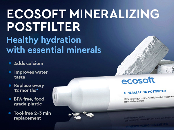 Ecosoft mineralizing postfilter for reverese osmosis filter