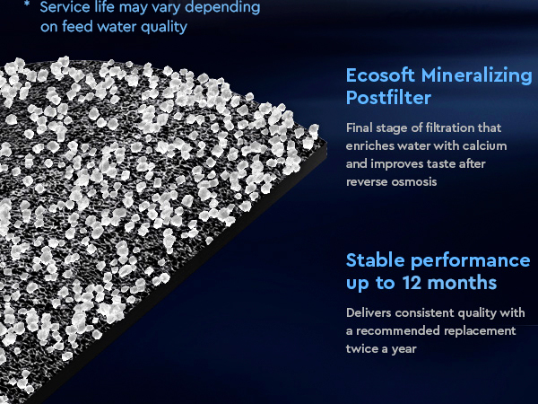 Ecosoft mineralizing postfilter for reverese osmosis filter