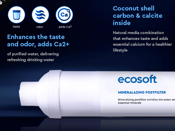 Ecosoft mineralizing postfilter for reverese osmosis filter
