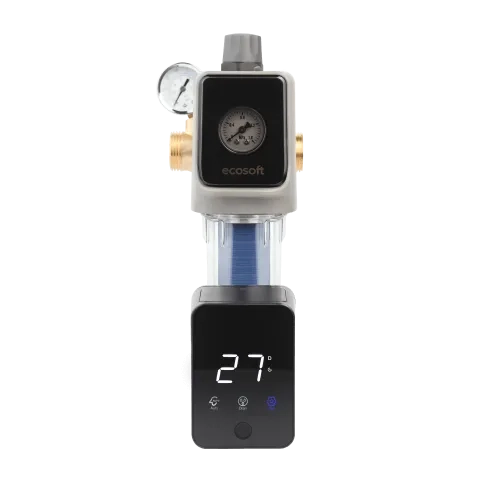 Sediment disc water filter AR 1"