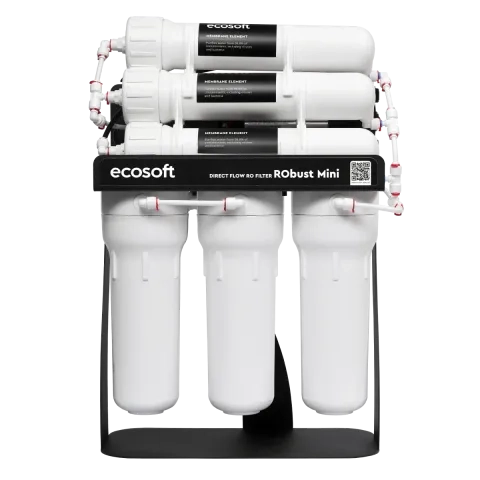 Ecosoft RObust Mini direct flow reverse osmosis system