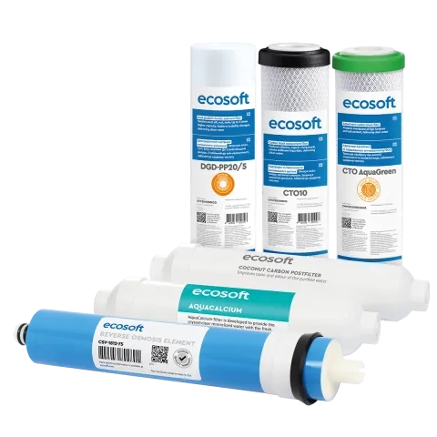 P'URE AquaCalcium Mint confezione da 6 filtri di ricambio PP5-GAC-CTO-75GPD-AQUACALCIUM MINT-POST