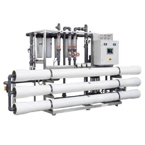 Ecosoft INOX MO9 8" reverse osmosis system with Siemens controller
