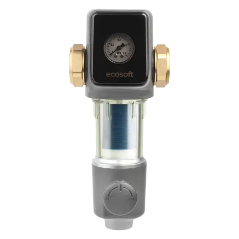 Sentry sediment disc water filter 1"