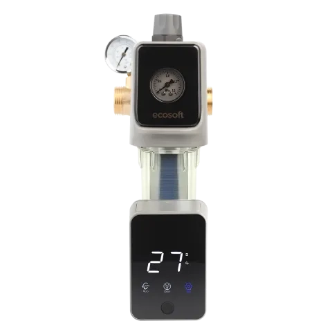 Sediment disc water filter AR 1"