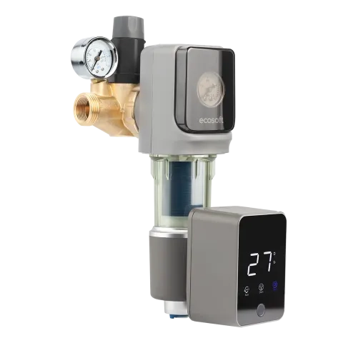 Sentry sediment disc water filter AR 1"