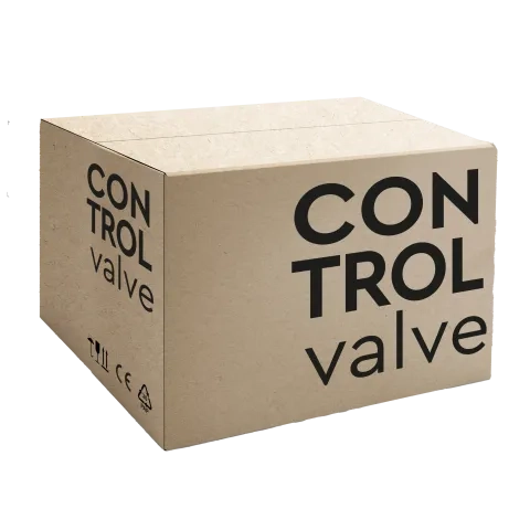 Water Specialist 1” CE Twin Alternating Control Valve