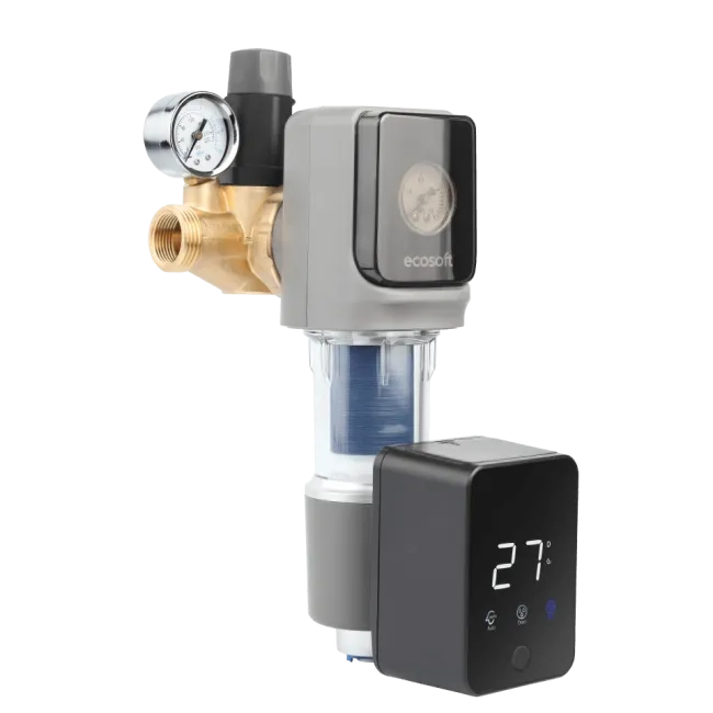 Sediment disc water filter AR 1"