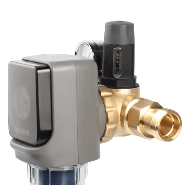 Sediment disc water filter AR 1"