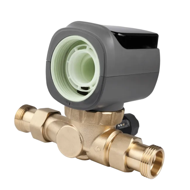 Sediment disc water filter AR 1"