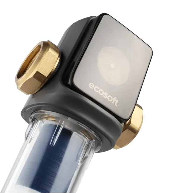 Sediment disc water filter 1"