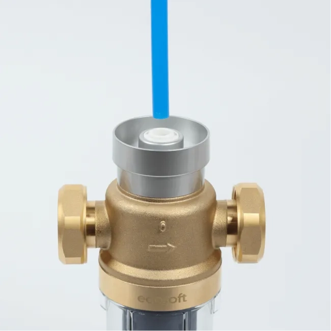 Ecosoft Eric DML flushable water filter