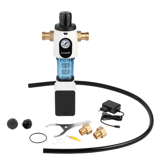 Buy Ecosoft Eric SC flushable water filter