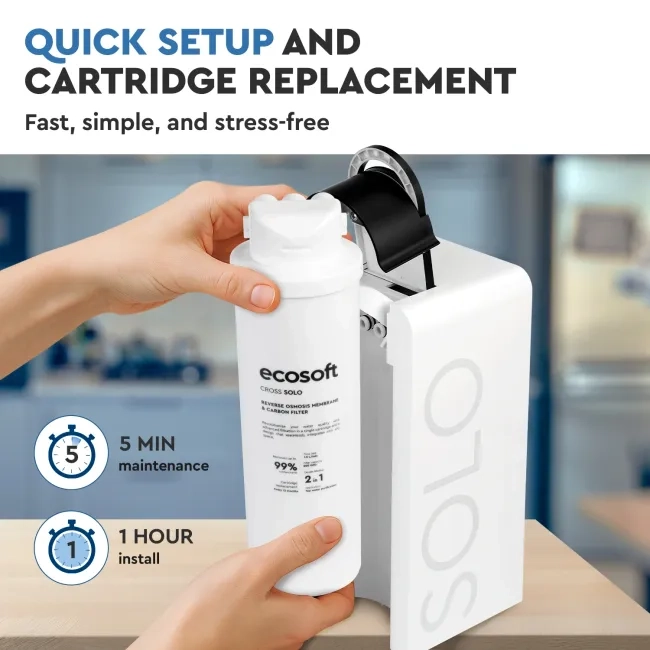 Ecosoft CROSS Solo RO System