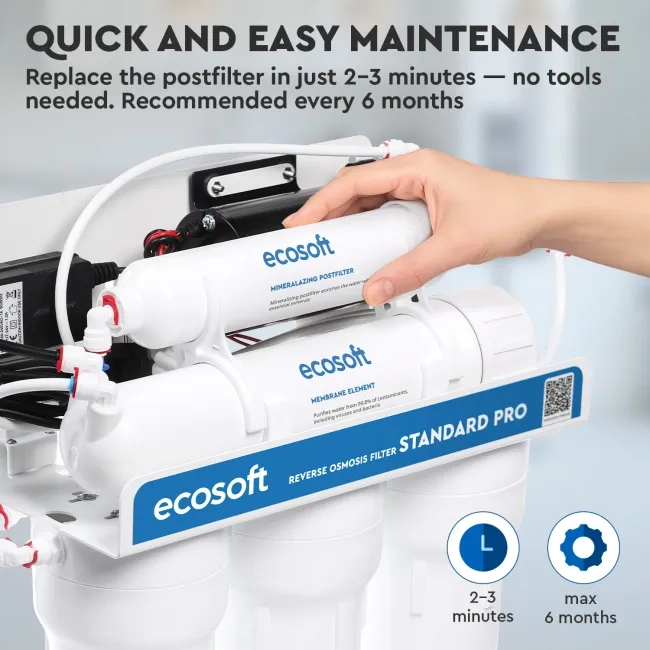Ecosoft mineralizing postfilter for RO filter
