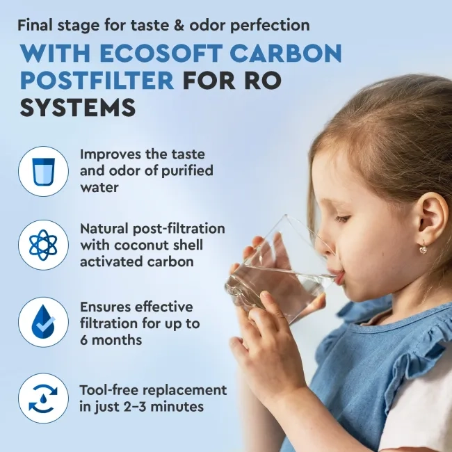 Ecosoft carbon postfilter for RO filter