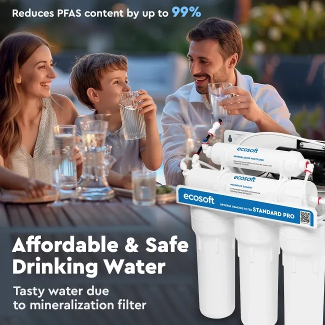 Ecosoft STANDARD PRO RO System with Pump