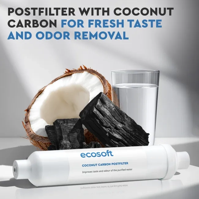 Ecosoft carbon postfilter for RO filter