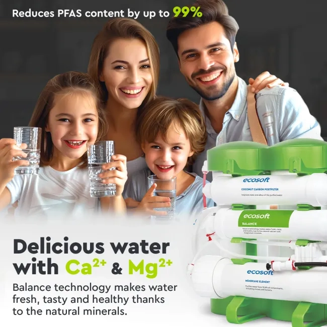 Ecosoft PURE Balance RO System