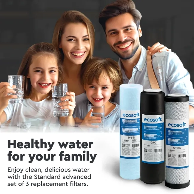 Standard advanced set of 3 replacement filters