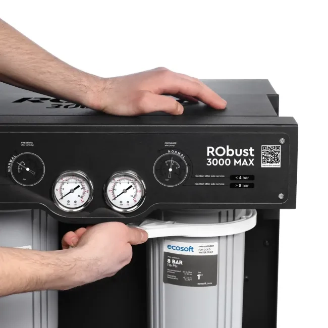 RObust 3000 MAX direct flow reverse osmosis filter