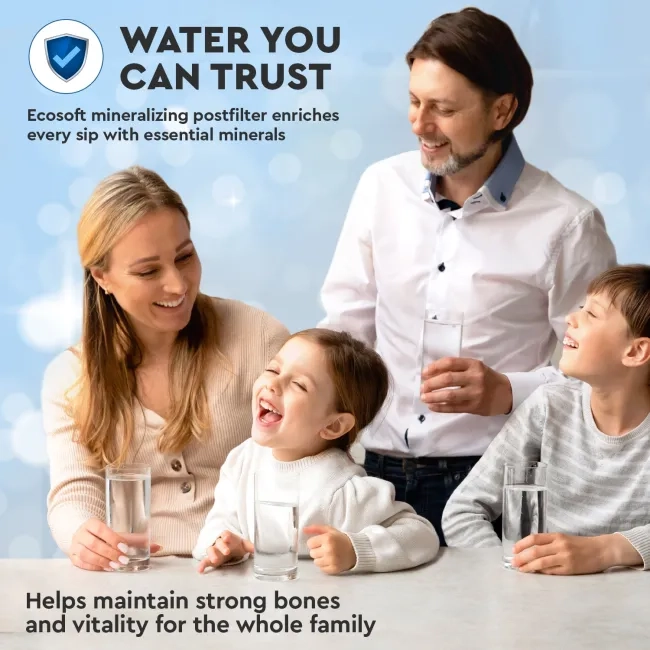 Ecosoft mineralizing postfilter for RO filter