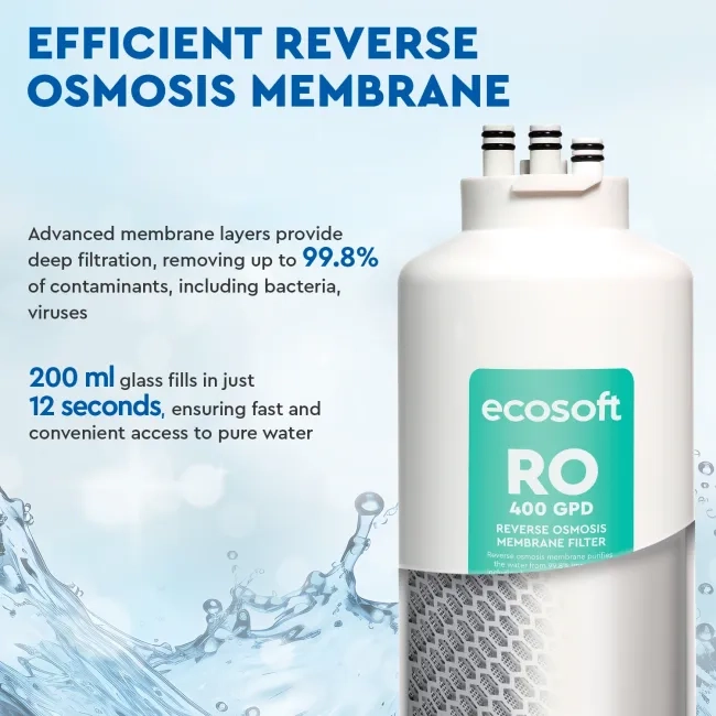 Ecosoft 400 GPD membrane element for CROSS 60