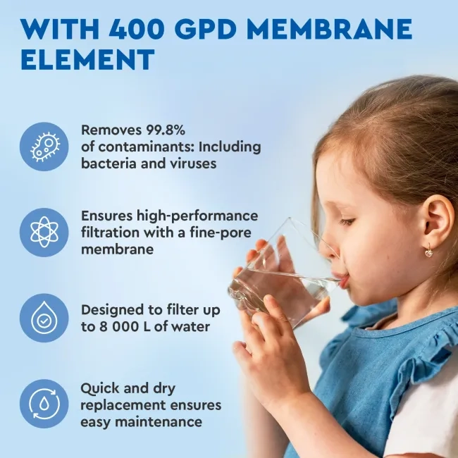 Ecosoft 400 GPD membrane element for CROSS 60