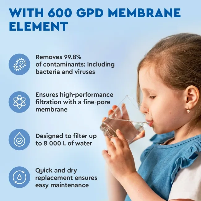 Ecosoft 600 GPD membrane element for CROSS 90