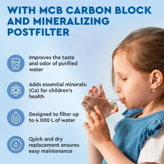 Ecosoft MCB carbon block & mineralizing postfilter for CROSS 90 Balance
